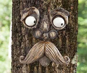 Old Man Tree Face