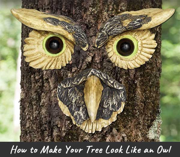 How to Turn Trees into Owls with a 3Piece Owl Tree Face